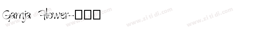 Gamja Flower字体转换